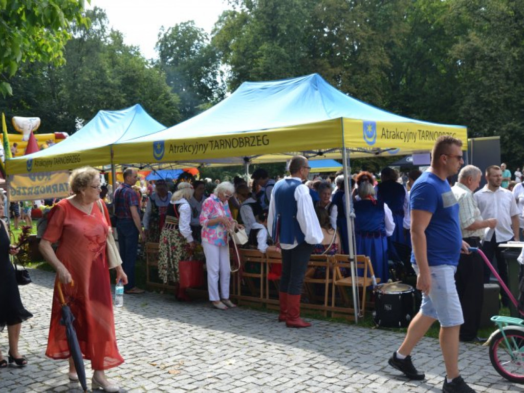 Dożynkowy festyn przed Zamkiem Tarnowskich w Tarnobrzegu [zdjęcia]