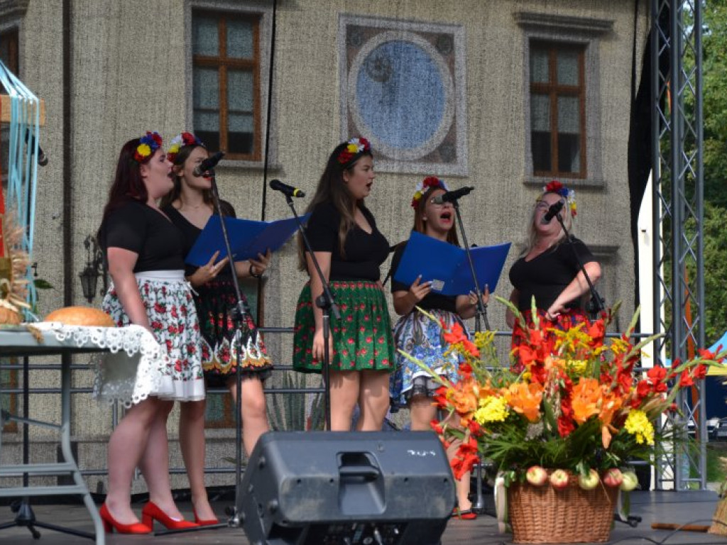 Dożynkowy festyn przed Zamkiem Tarnowskich w Tarnobrzegu [zdjęcia]