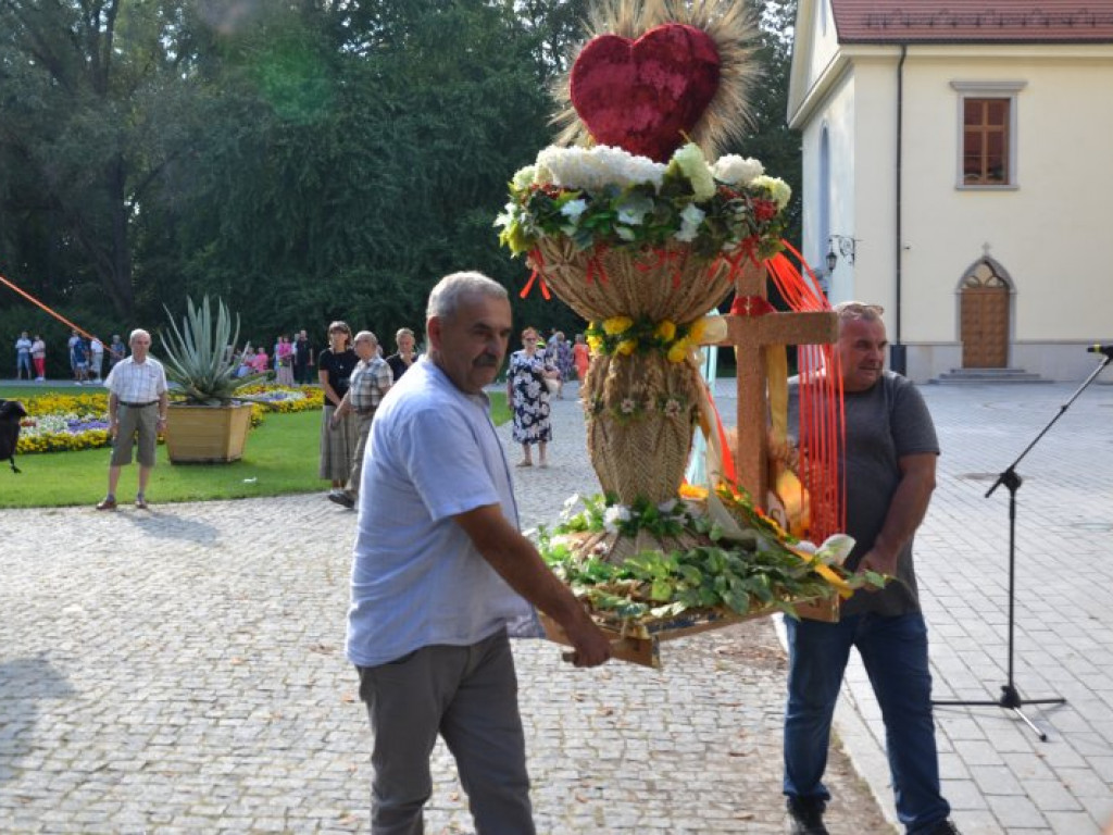 Dożynkowy festyn przed Zamkiem Tarnowskich w Tarnobrzegu [zdjęcia]