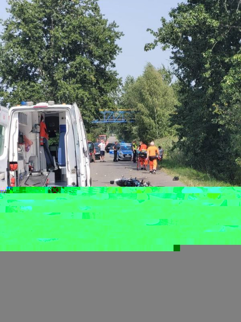 Dwudniowe Święto Śliwki w Szydłowie [zdjęcia]