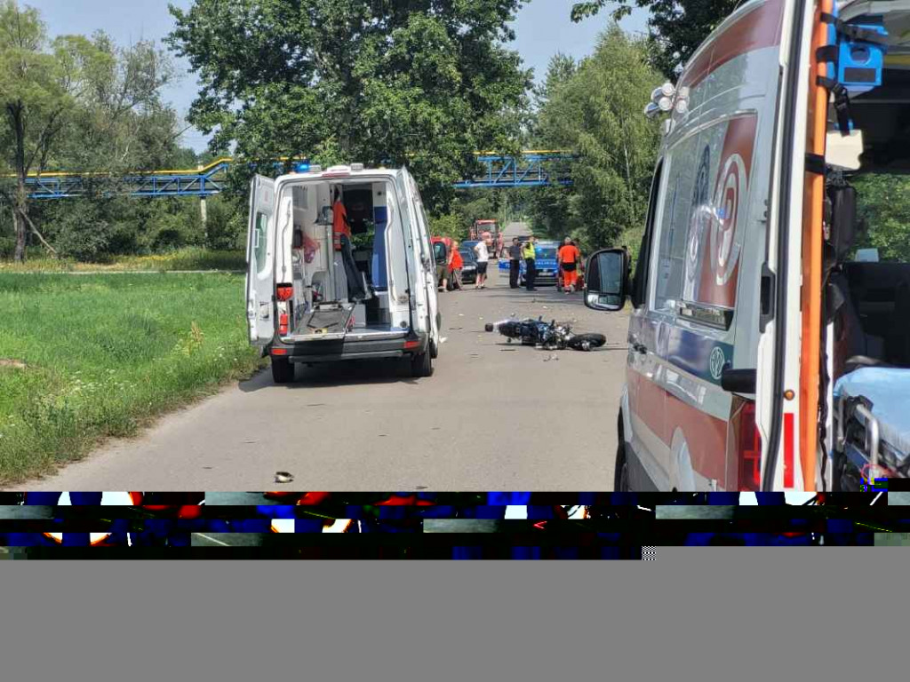 Dwudniowe Święto Śliwki w Szydłowie [zdjęcia]