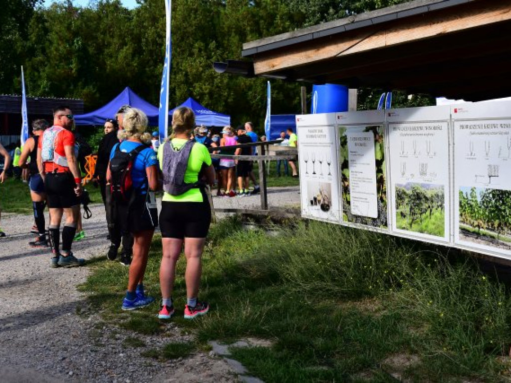 Zawodnicy z całego kraju na II Festiwalu Biegowym Sandomierskim Szlakiem Winiarskim [zdjęcia]