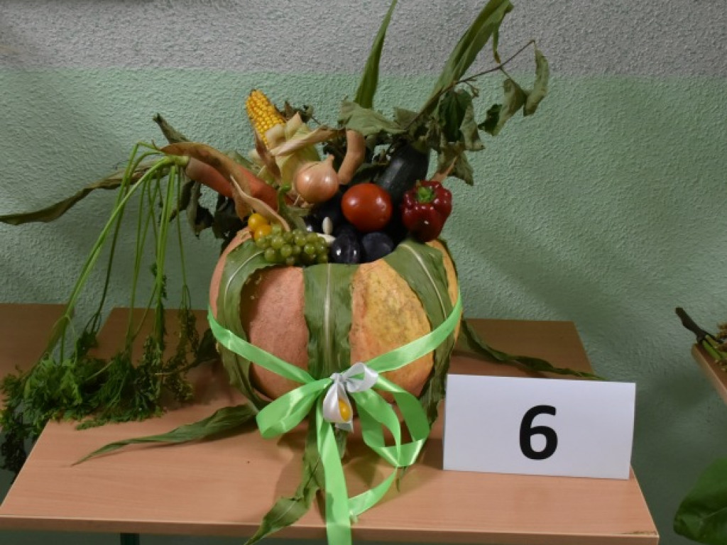 Święto plonów po mokoszyńsku [zdjęcia]