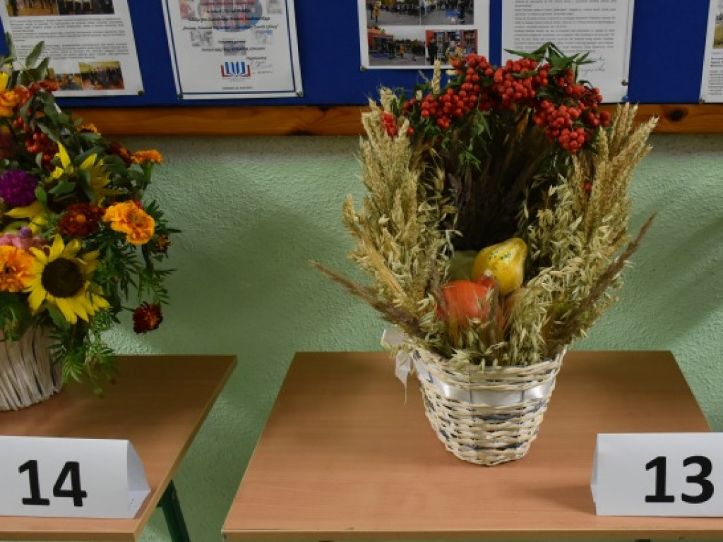 Święto plonów po mokoszyńsku [zdjęcia]