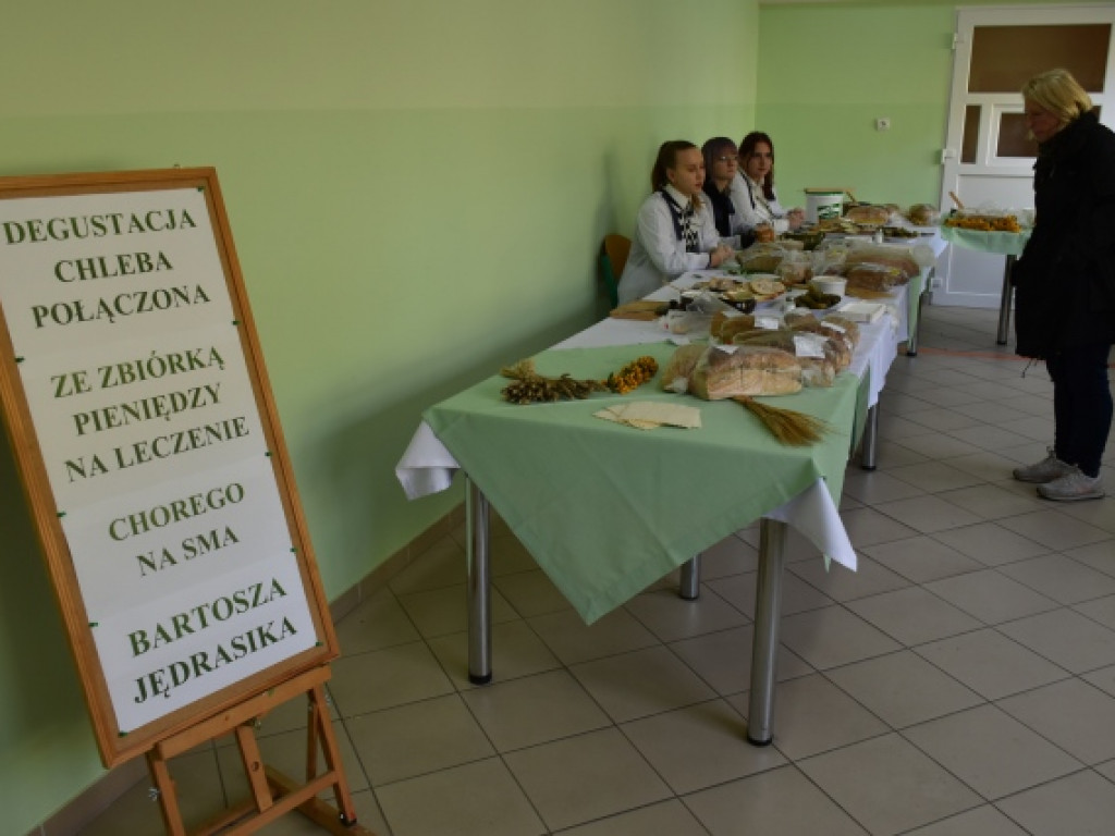 Święto plonów po mokoszyńsku [zdjęcia]