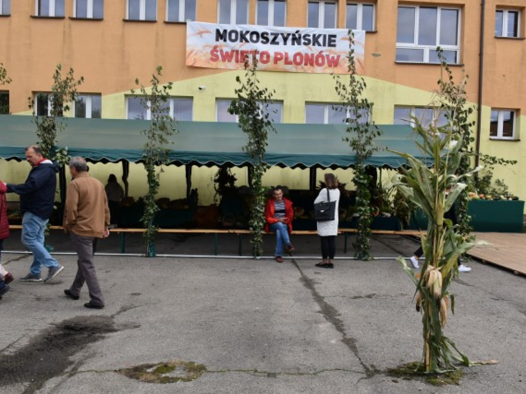 Święto plonów po mokoszyńsku [zdjęcia]