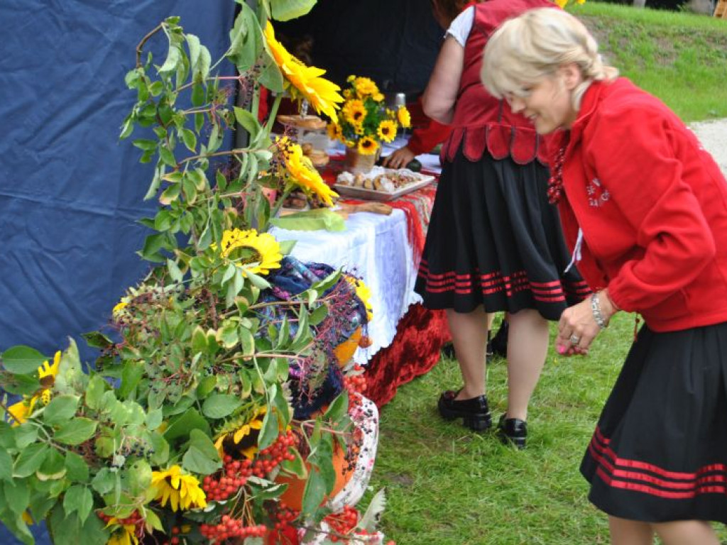 Skalne ściany, a w tle średniowieczne mury. Polskie Carcassonne ma nowy park miejski [zdjęcia]