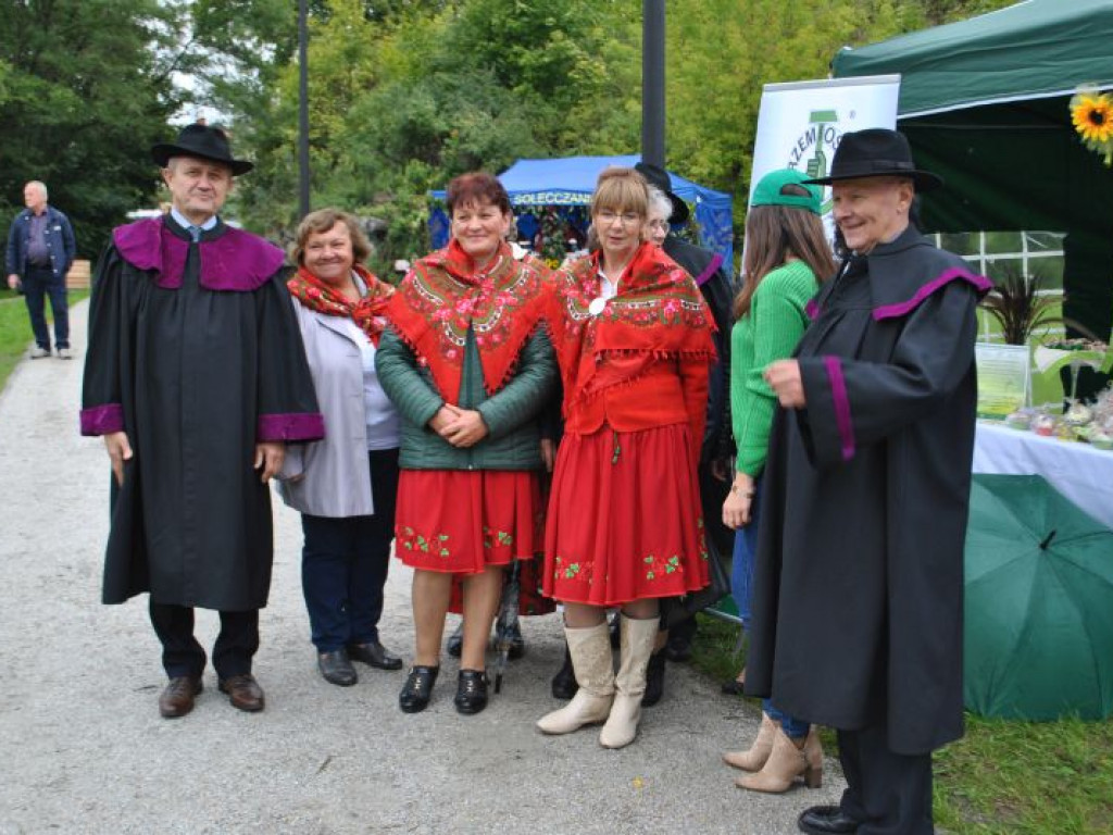 Skalne ściany, a w tle średniowieczne mury. Polskie Carcassonne ma nowy park miejski [zdjęcia]
