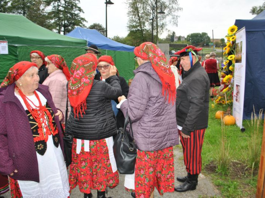 Skalne ściany, a w tle średniowieczne mury. Polskie Carcassonne ma nowy park miejski [zdjęcia]