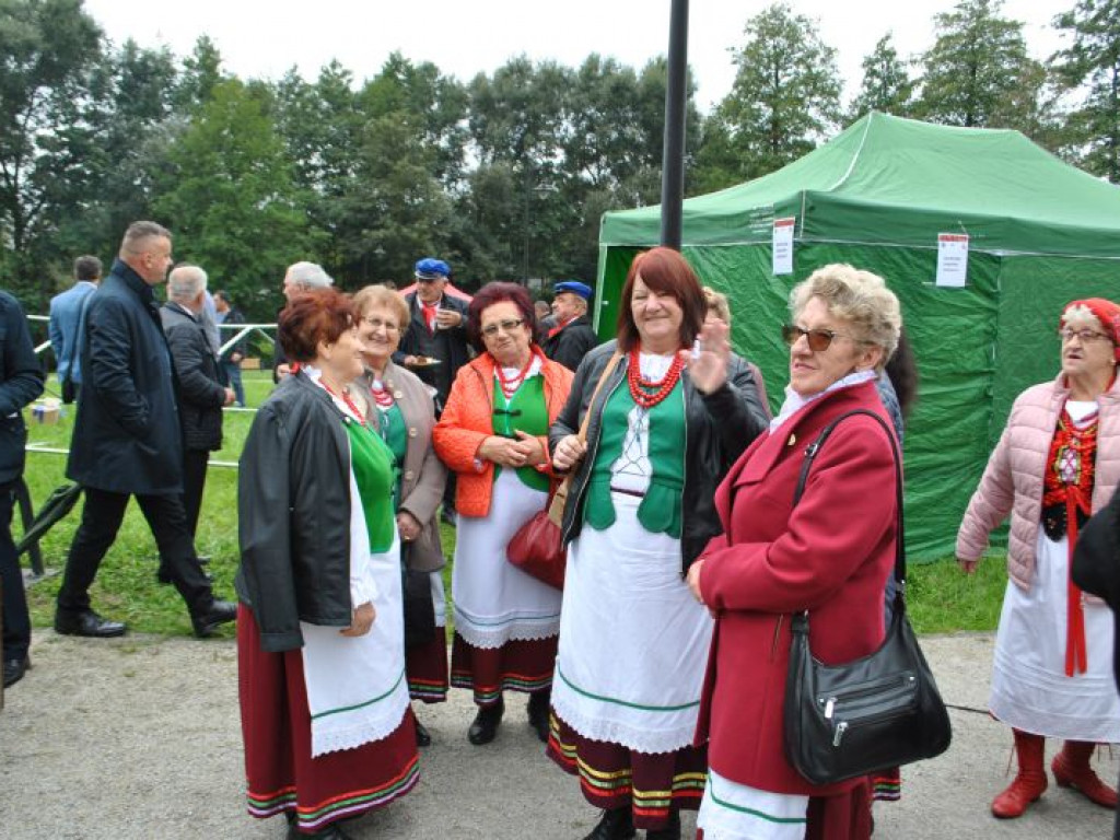 Skalne ściany, a w tle średniowieczne mury. Polskie Carcassonne ma nowy park miejski [zdjęcia]