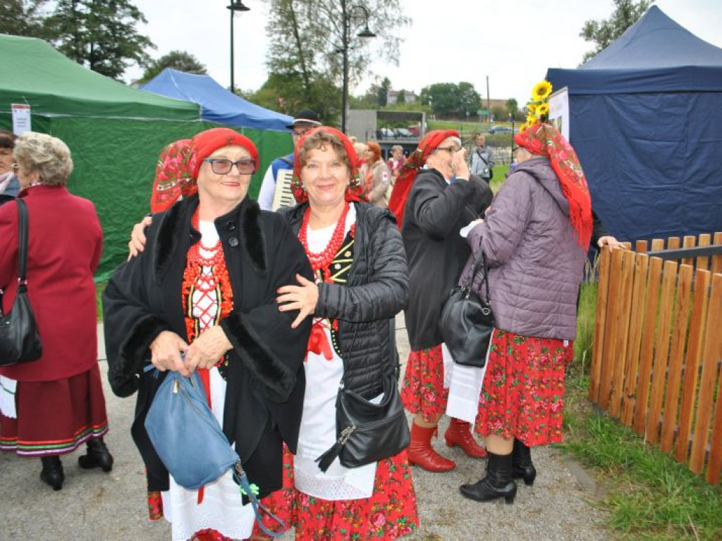 Skalne ściany, a w tle średniowieczne mury. Polskie Carcassonne ma nowy park miejski [zdjęcia]