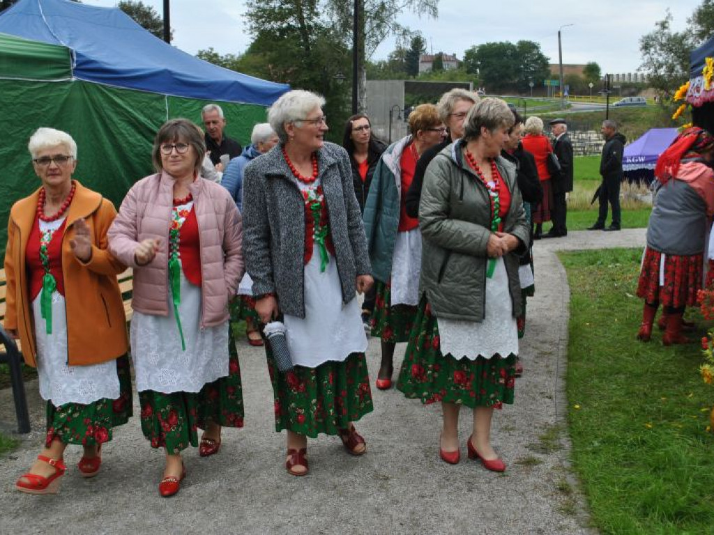Skalne ściany, a w tle średniowieczne mury. Polskie Carcassonne ma nowy park miejski [zdjęcia]