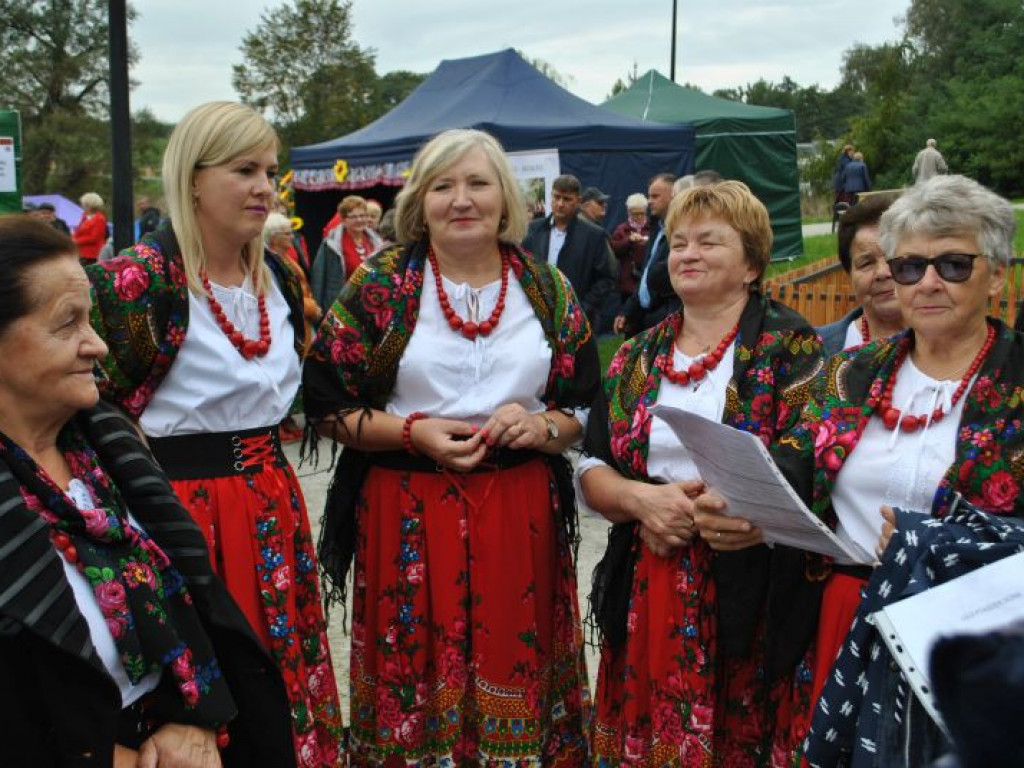 Skalne ściany, a w tle średniowieczne mury. Polskie Carcassonne ma nowy park miejski [zdjęcia]