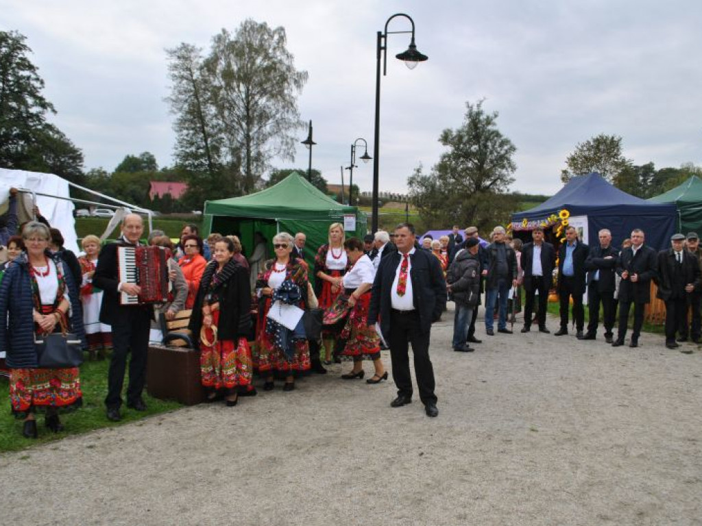 Skalne ściany, a w tle średniowieczne mury. Polskie Carcassonne ma nowy park miejski [zdjęcia]
