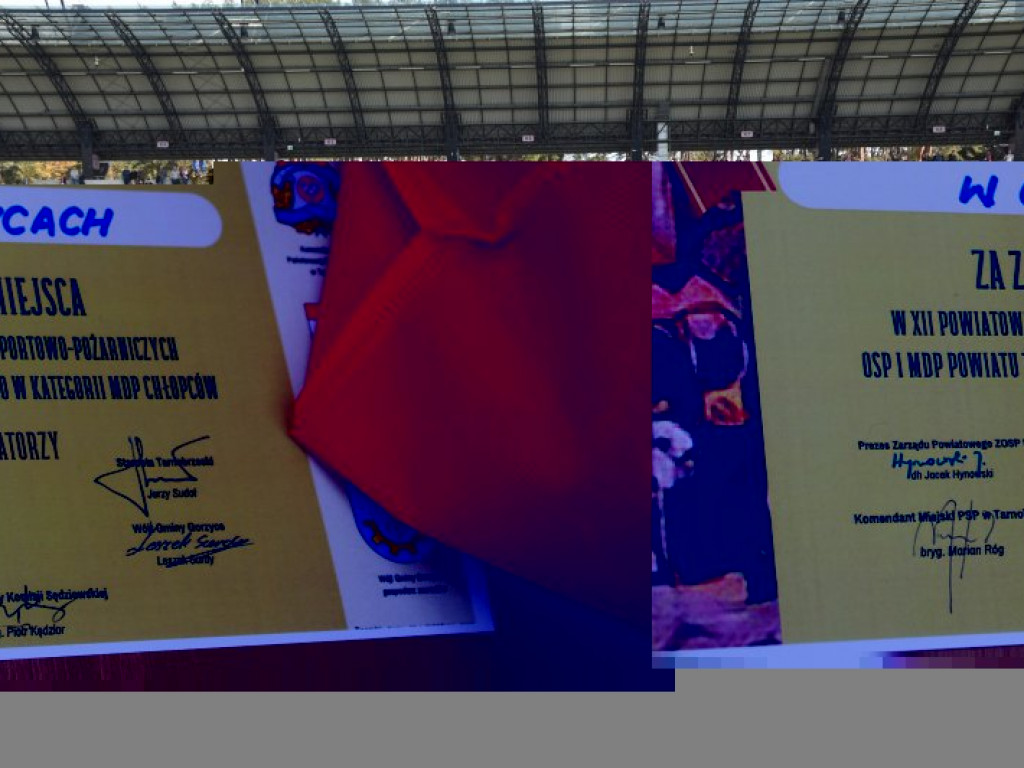 Strażacy rywalizowali w zawodach powiatowych w Trześni [zdjęcia]