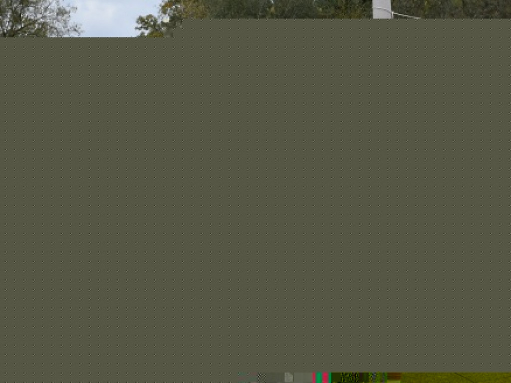 IV Jarski Bieg na Zdrowie z Sandomierza do Andruszkowic. Rywalizacja, a po niej piknik z wegańskimi smakołykami [zdjęcia]