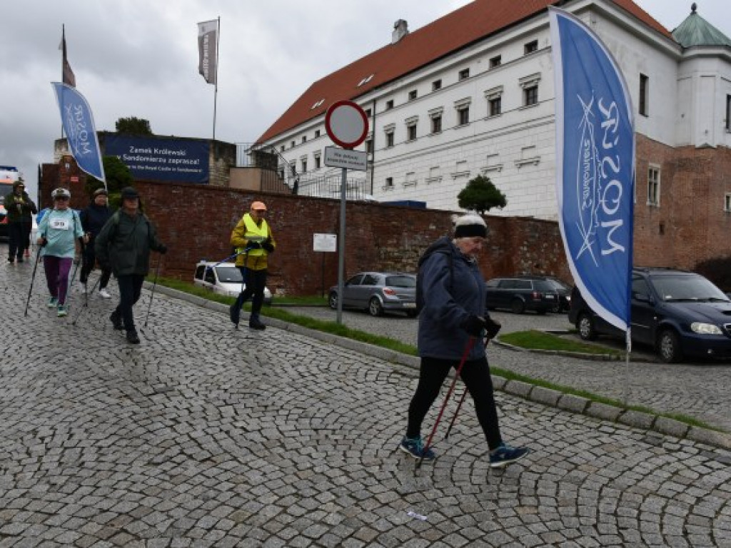 IV Jarski Bieg na Zdrowie z Sandomierza do Andruszkowic. Rywalizacja, a po niej piknik z wegańskimi smakołykami [zdjęcia]