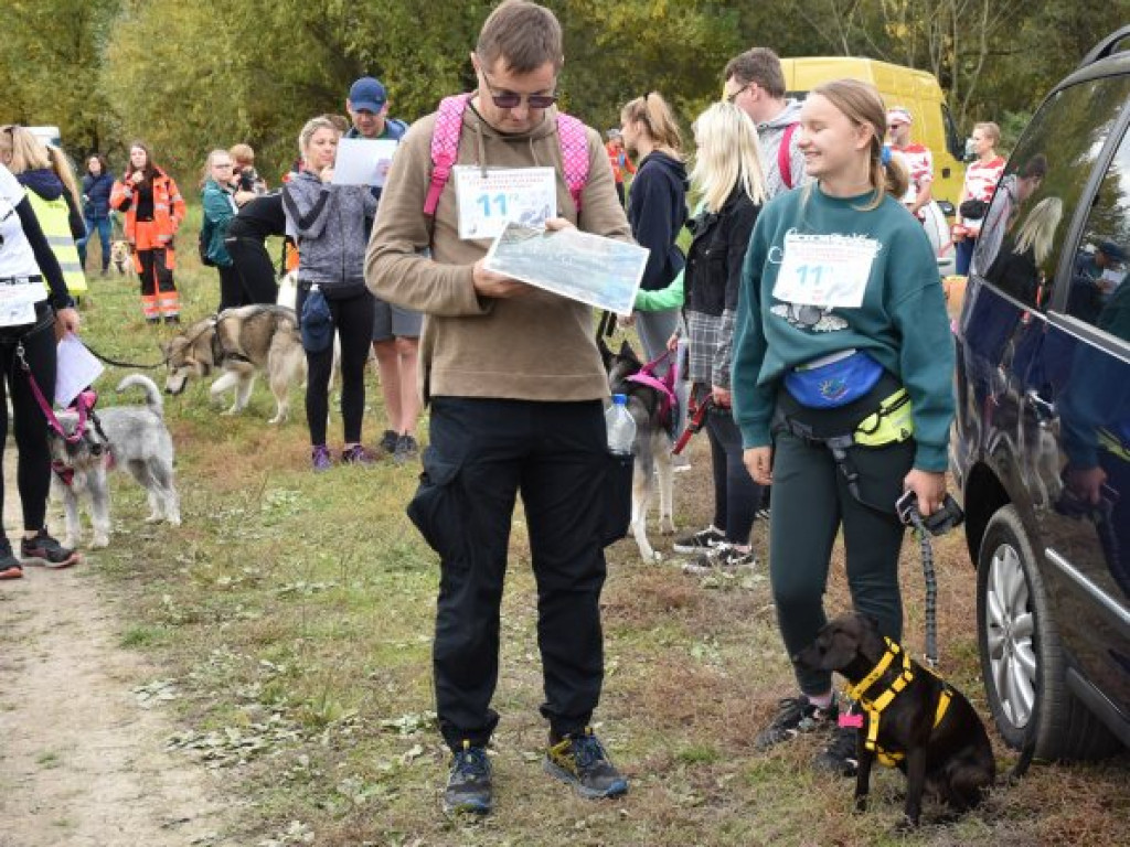 III Sandomierski Dogtrekking Wiśniowy. Rywalizacja i znakomita zabawa [zdjęcia]