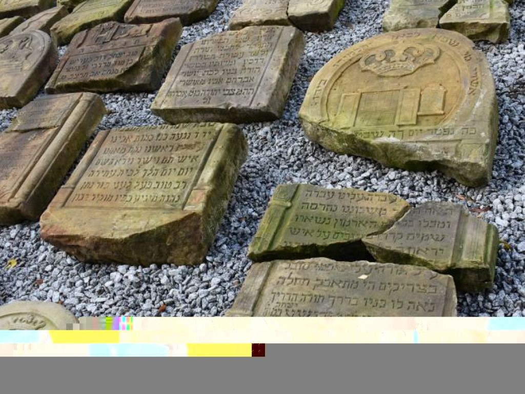 Ponad 200 osób ścigało się obwodnicą Tarnobrzega [zdjęcia]