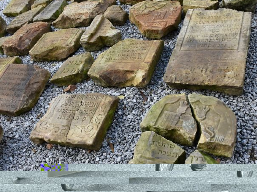 Ponad 200 osób ścigało się obwodnicą Tarnobrzega [zdjęcia]