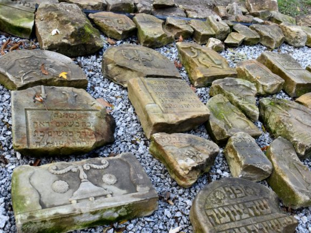 Ponad 200 osób ścigało się obwodnicą Tarnobrzega [zdjęcia]