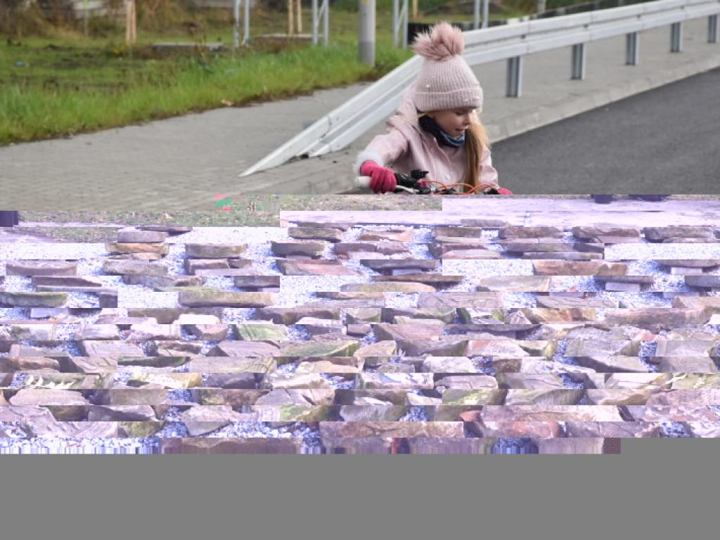 Ponad 200 osób ścigało się obwodnicą Tarnobrzega [zdjęcia]
