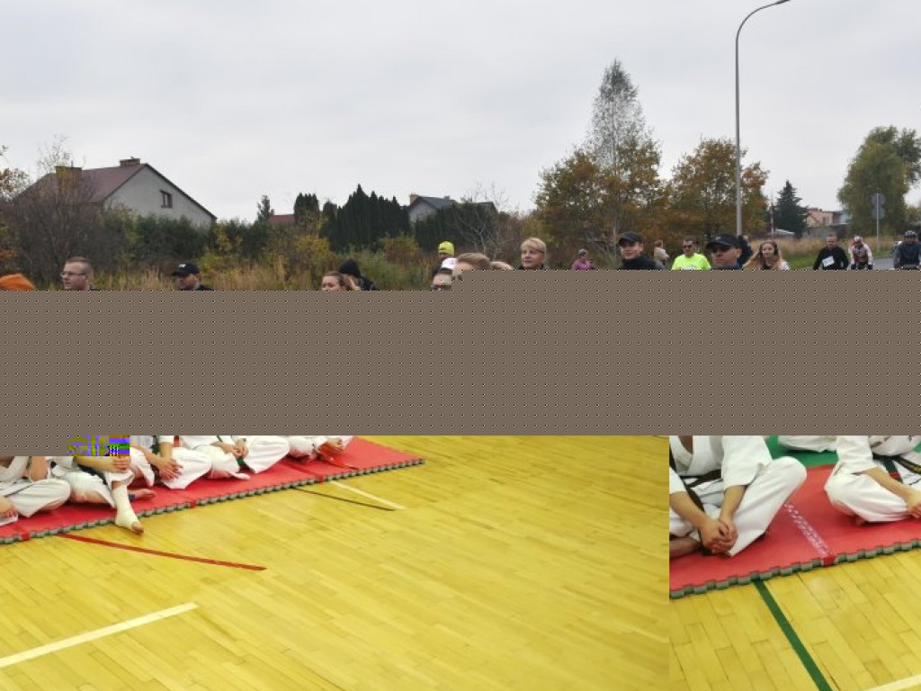 Turniej Kyokushin Karate w Gorzycach - wiele medali naszych karateków [zdjęcia]