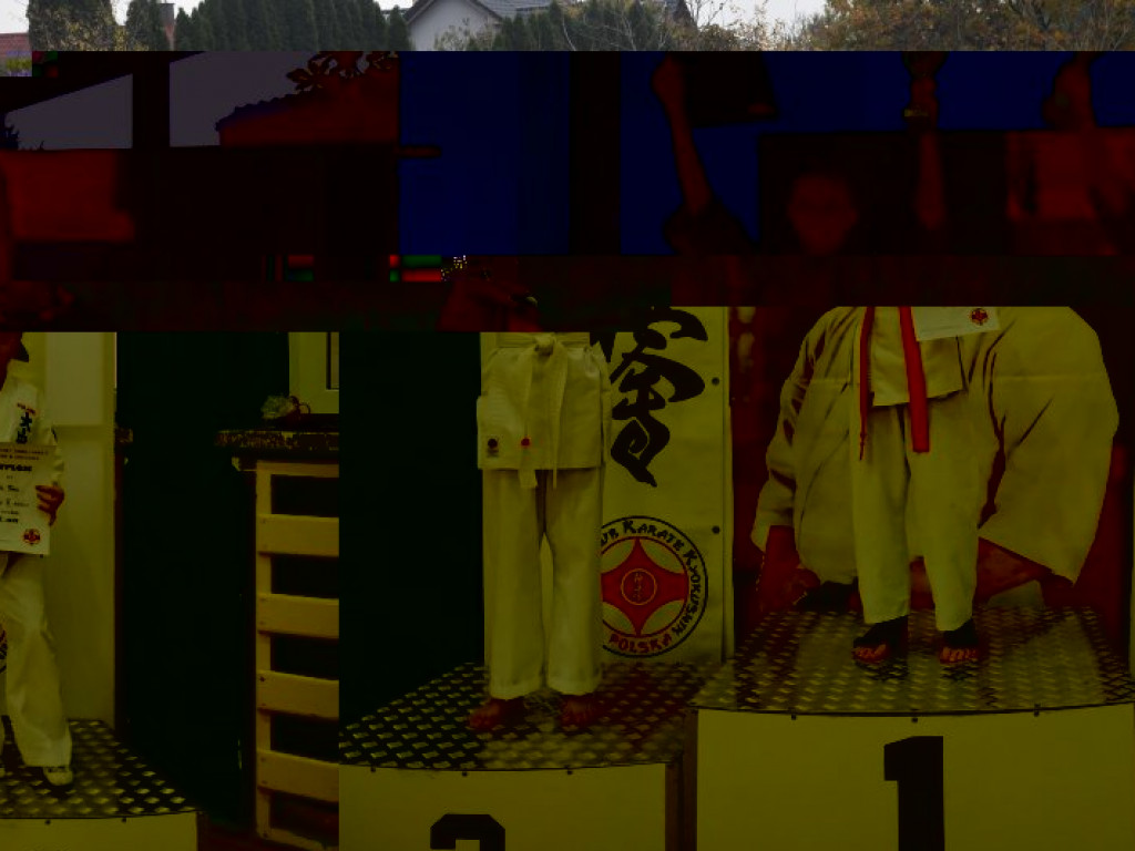 Turniej Kyokushin Karate w Gorzycach - wiele medali naszych karateków [zdjęcia]