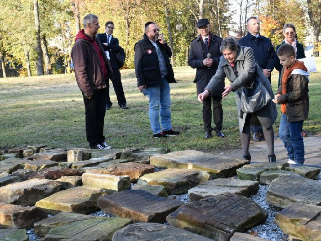 Zderzenie na drodze relacji Tarnobrzeg - Stalowa Wola. Jedna osoba w szpitalu [zdjęcia]