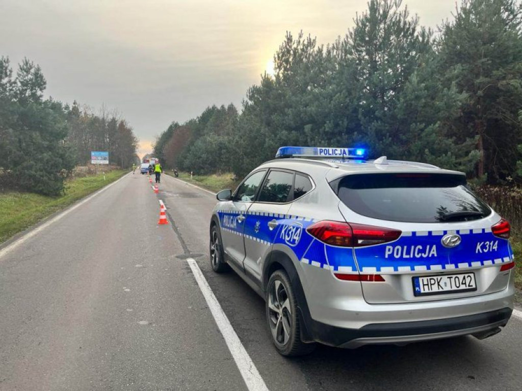 Motocyklista zderzył się z sarną. Wypadek na drodze wojewódzkiej w gminie Baranów Sandomierski! [zdjęcia]