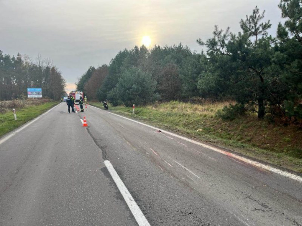 Motocyklista zderzył się z sarną. Wypadek na drodze wojewódzkiej w gminie Baranów Sandomierski! [zdjęcia]