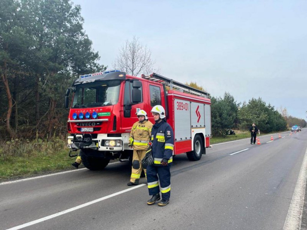 Motocyklista zderzył się z sarną. Wypadek na drodze wojewódzkiej w gminie Baranów Sandomierski! [zdjęcia]