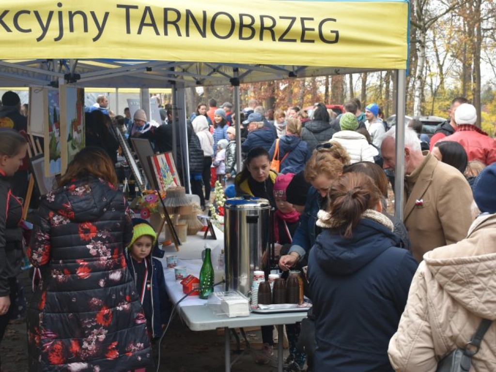 Bieg, piknik, przyrodniczy spacer i kiermasze - Tarnobrzeg świętował Narodowe Święto Niepodległości [zdjęcia]