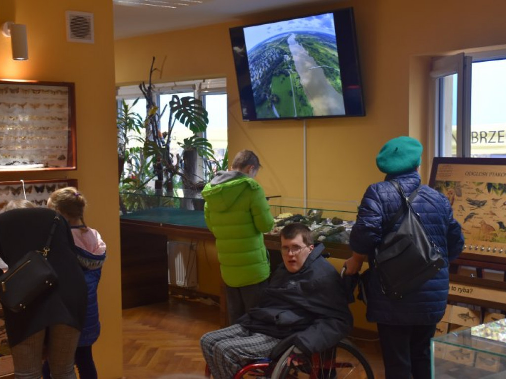 Bieg, piknik, przyrodniczy spacer i kiermasze - Tarnobrzeg świętował Narodowe Święto Niepodległości [zdjęcia]