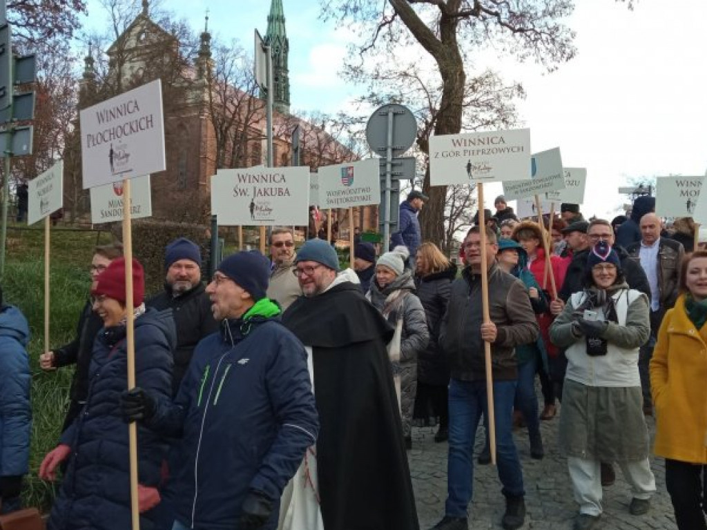 W Sandomierzu trwa Święto Młodego Wina. Zobacz zdjęcia z korowodu