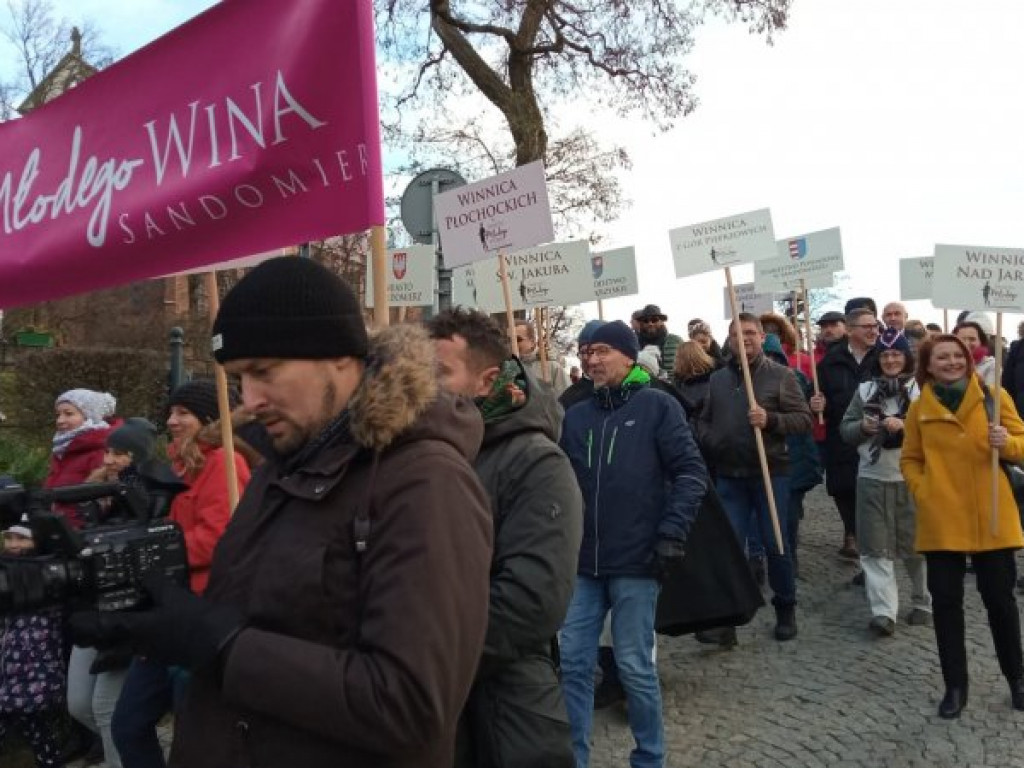 W Sandomierzu trwa Święto Młodego Wina. Zobacz zdjęcia z korowodu