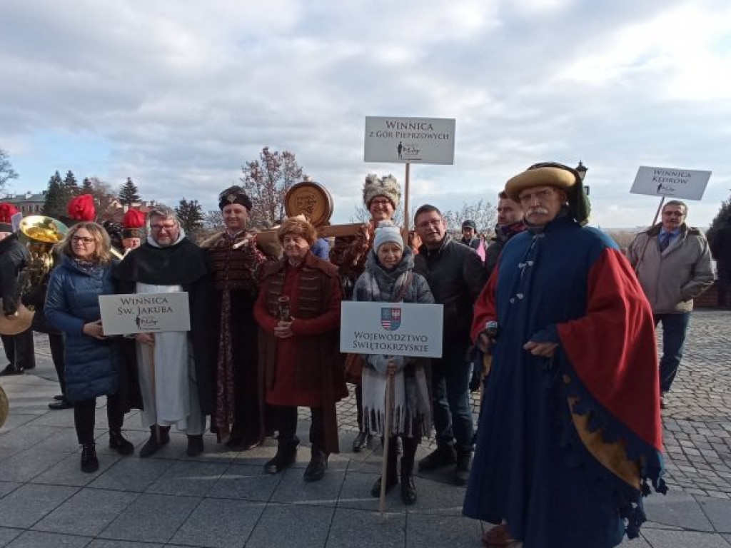 W Sandomierzu trwa Święto Młodego Wina. Zobacz zdjęcia z korowodu