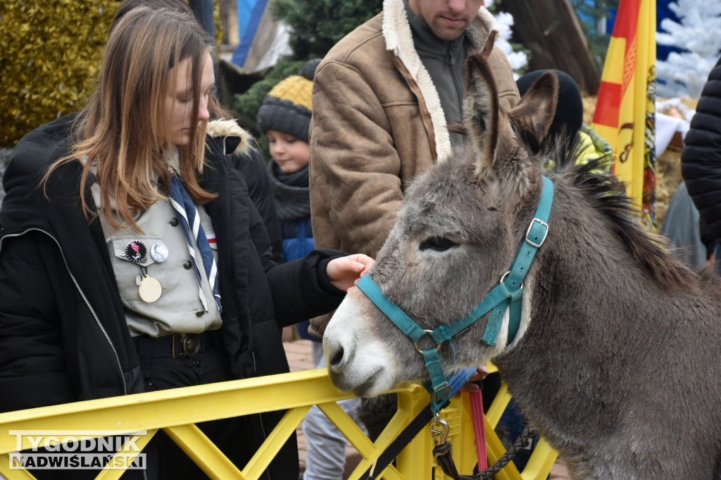 Orszaki Trzech Króli w Tarnobrzegu