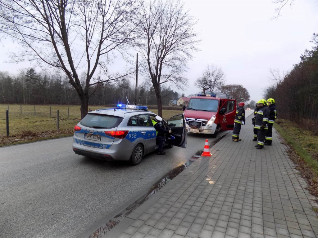 Dachowanie w Zabrniu w gminie Grębów