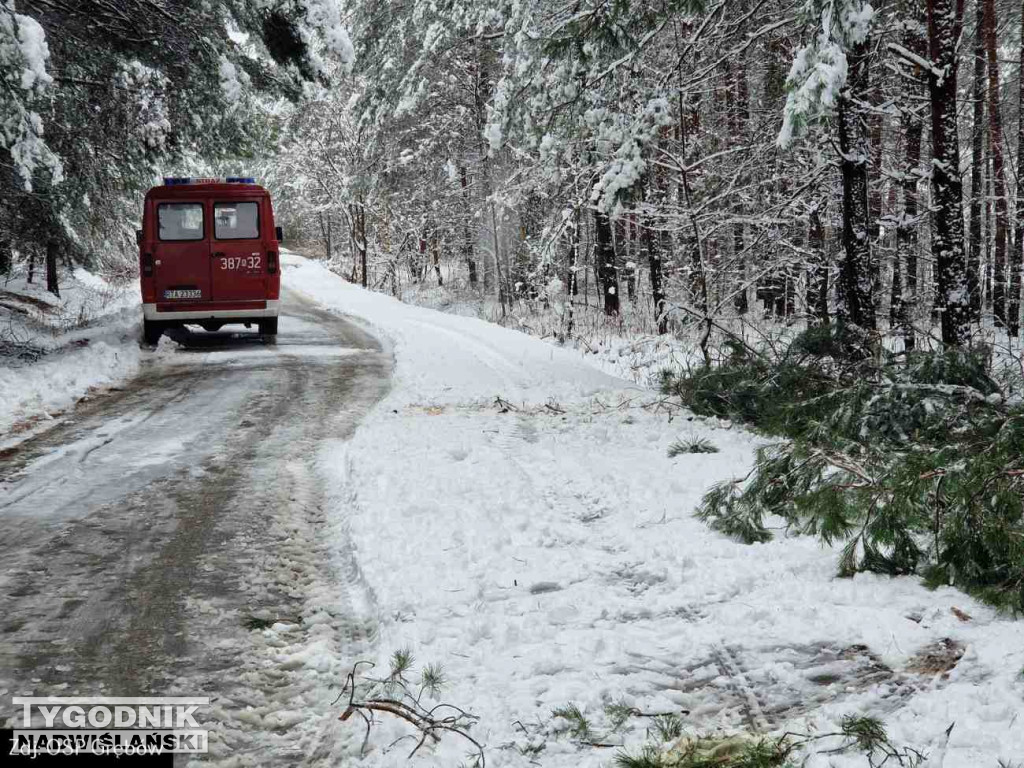 Strażacy usuwali drzewa tarasujące drogi
