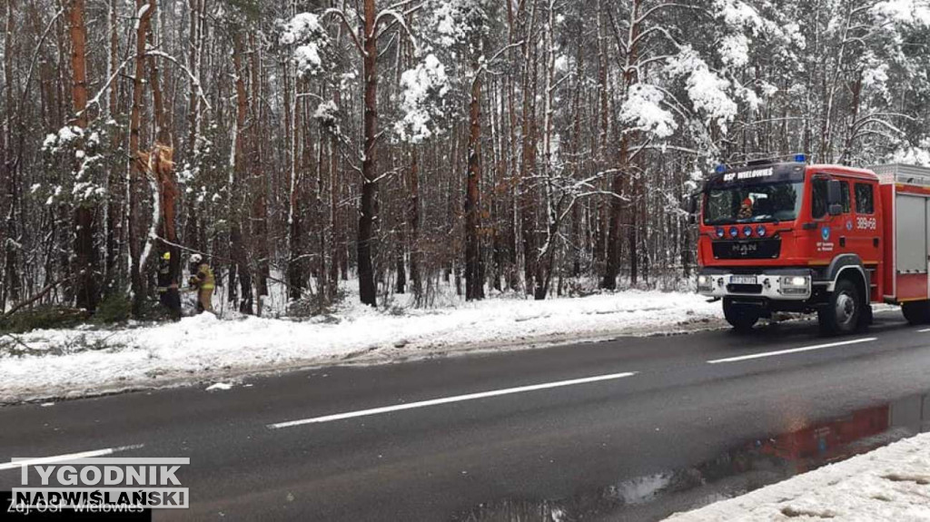 Strażacy usuwali drzewa tarasujące drogi
