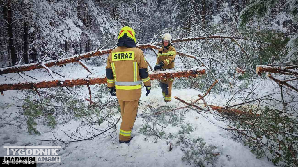 Strażacy usuwali drzewa tarasujące drogi