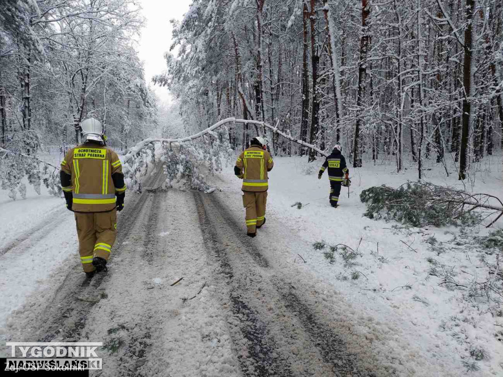 Strażacy usuwali drzewa tarasujące drogi