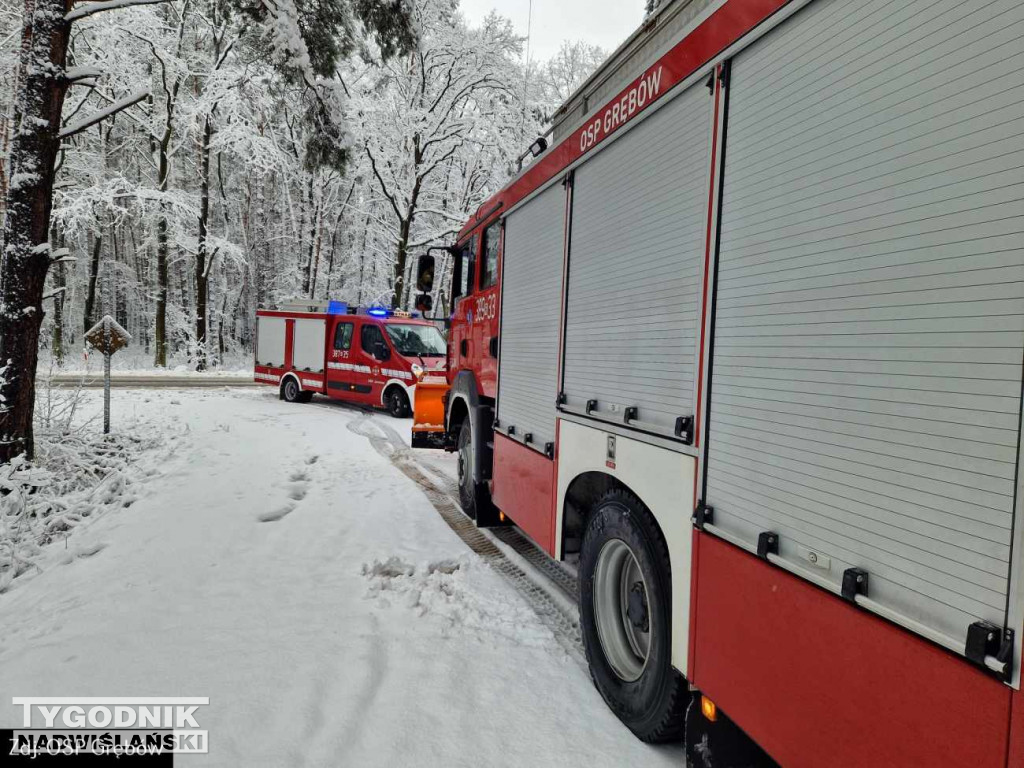 Strażacy usuwali drzewa tarasujące drogi