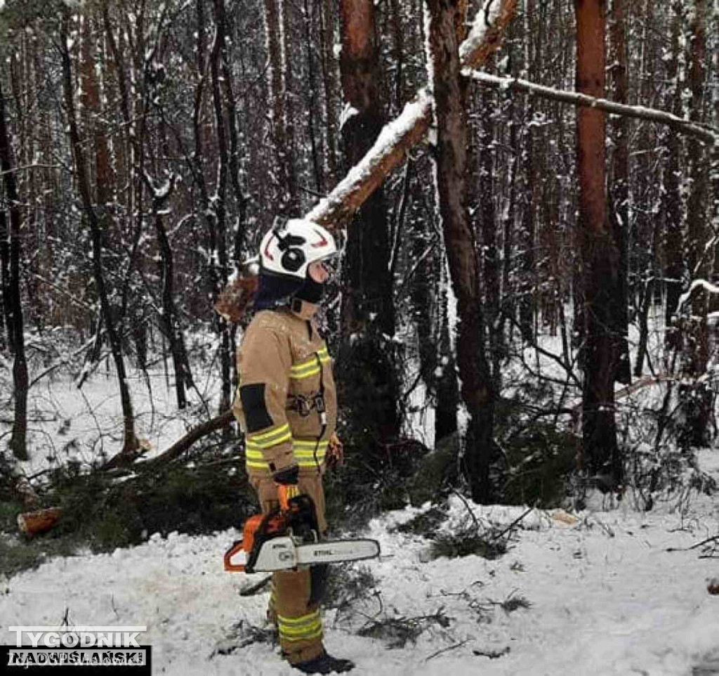 Strażacy usuwali drzewa tarasujące drogi