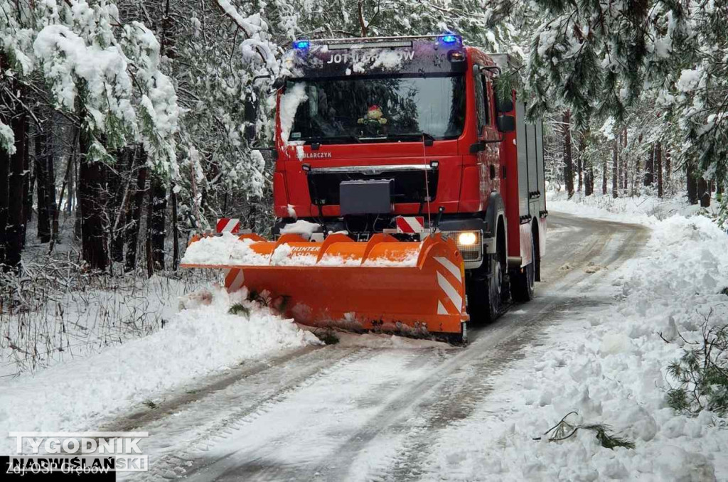 Strażacy usuwali drzewa tarasujące drogi