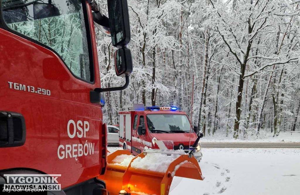 Strażacy usuwali drzewa tarasujące drogi