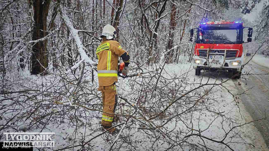 Strażacy usuwali drzewa tarasujące drogi