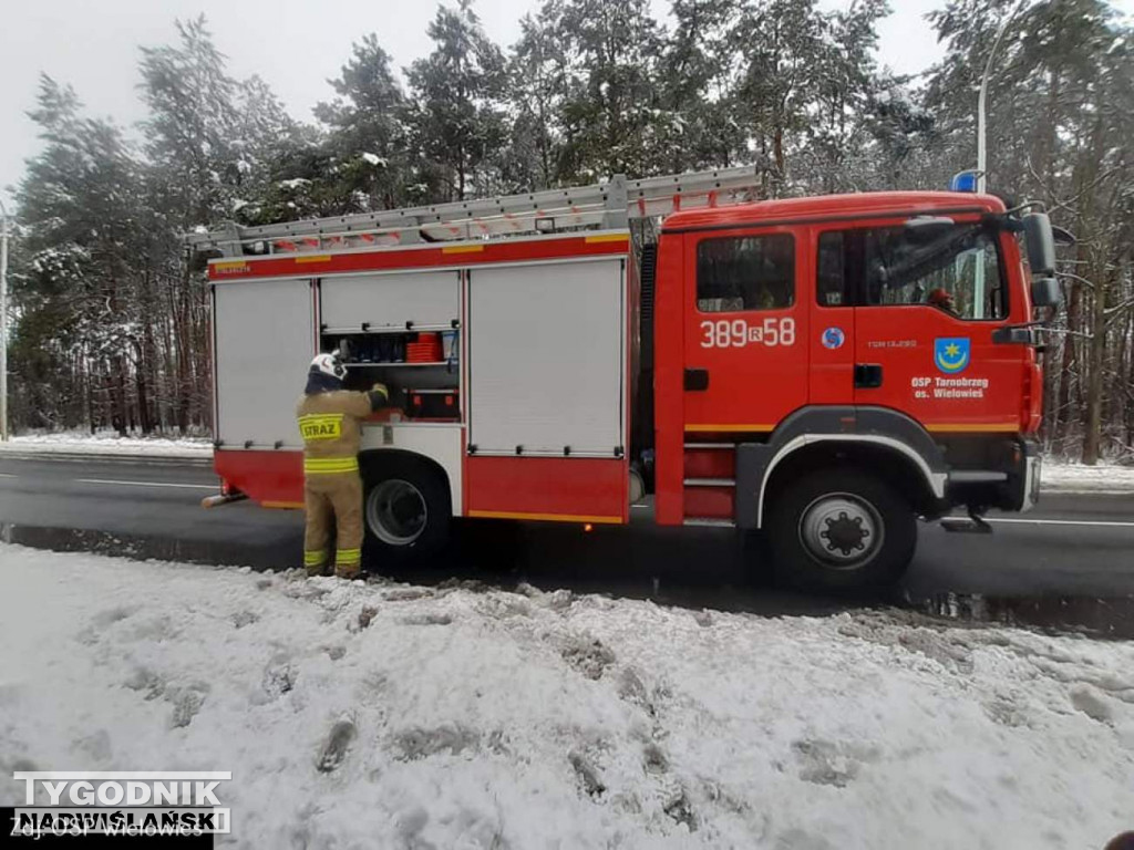 Strażacy usuwali drzewa tarasujące drogi