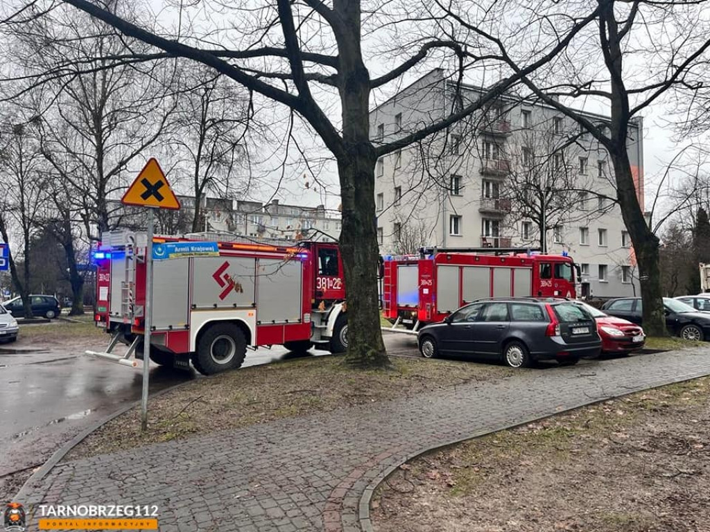 Tarnobrzeg. 57-latek znaleziony w zaroślach